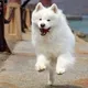 bridgelol's avatar